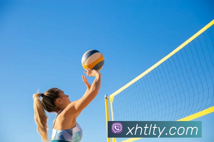 8868体育官方网站(官方)登录入口平台生态图